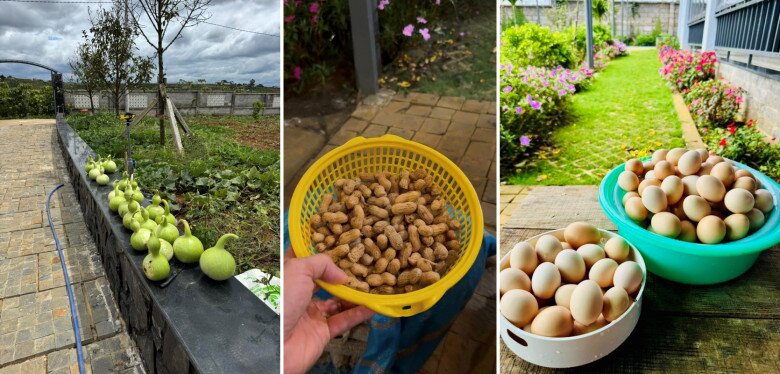 Nhờ nguồn thực phẩm cây nhà lá vườn và bầu không khí trong lành mà vị giám đốc thấy sức khỏe cải thiện rõ khi trốn phố