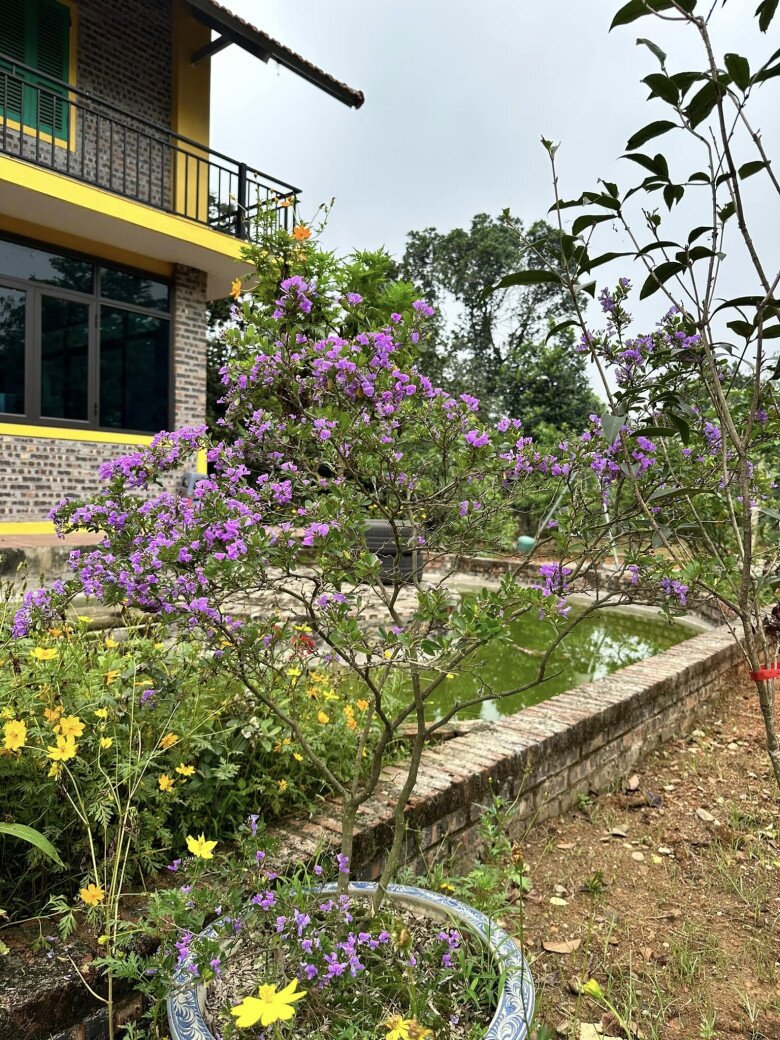 Khối bất động sản trải dài từ Bắc vào Trung của diễn viên Mưa đỏ Đinh Thúy Hà - 13