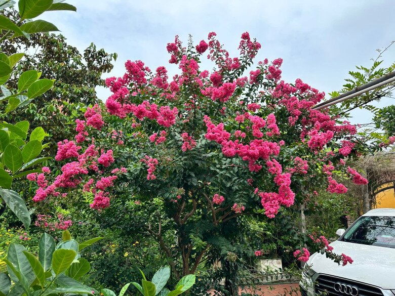 Khối bất động sản trải dài từ Bắc vào Trung của diễn viên Mưa đỏ Đinh Thúy Hà - 14