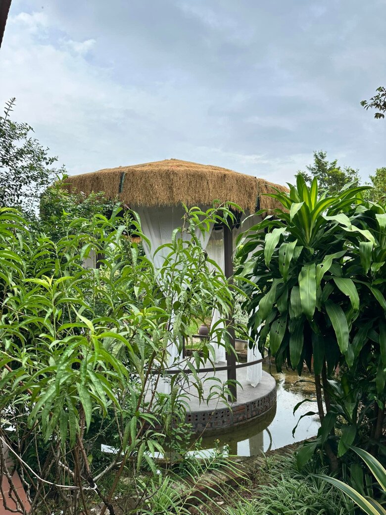 Ở giữa, cô dựng chòi để thỉnh thoảng ra nghỉ ngơi, ngắm vườn.