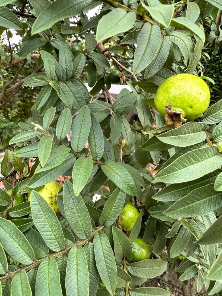 Khối bất động sản trải dài từ Bắc vào Trung của diễn viên Mưa đỏ Đinh Thúy Hà - 17