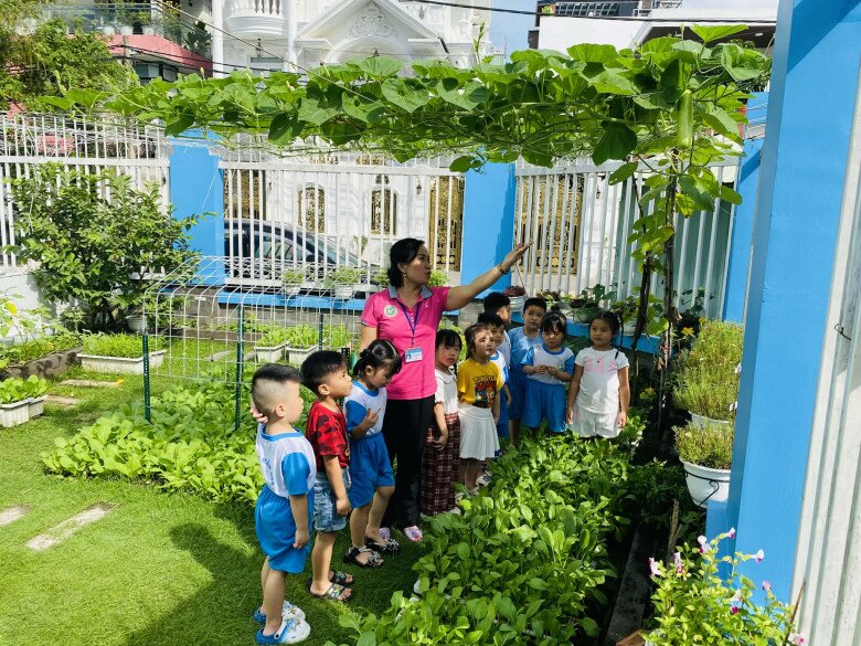 Khu vườn 52m² đầy ắp rau xanh khiến trẻ mầm non mê tít, ngày nào đến trường cũng đòi ra ngắm cây, thu hoạch - 8