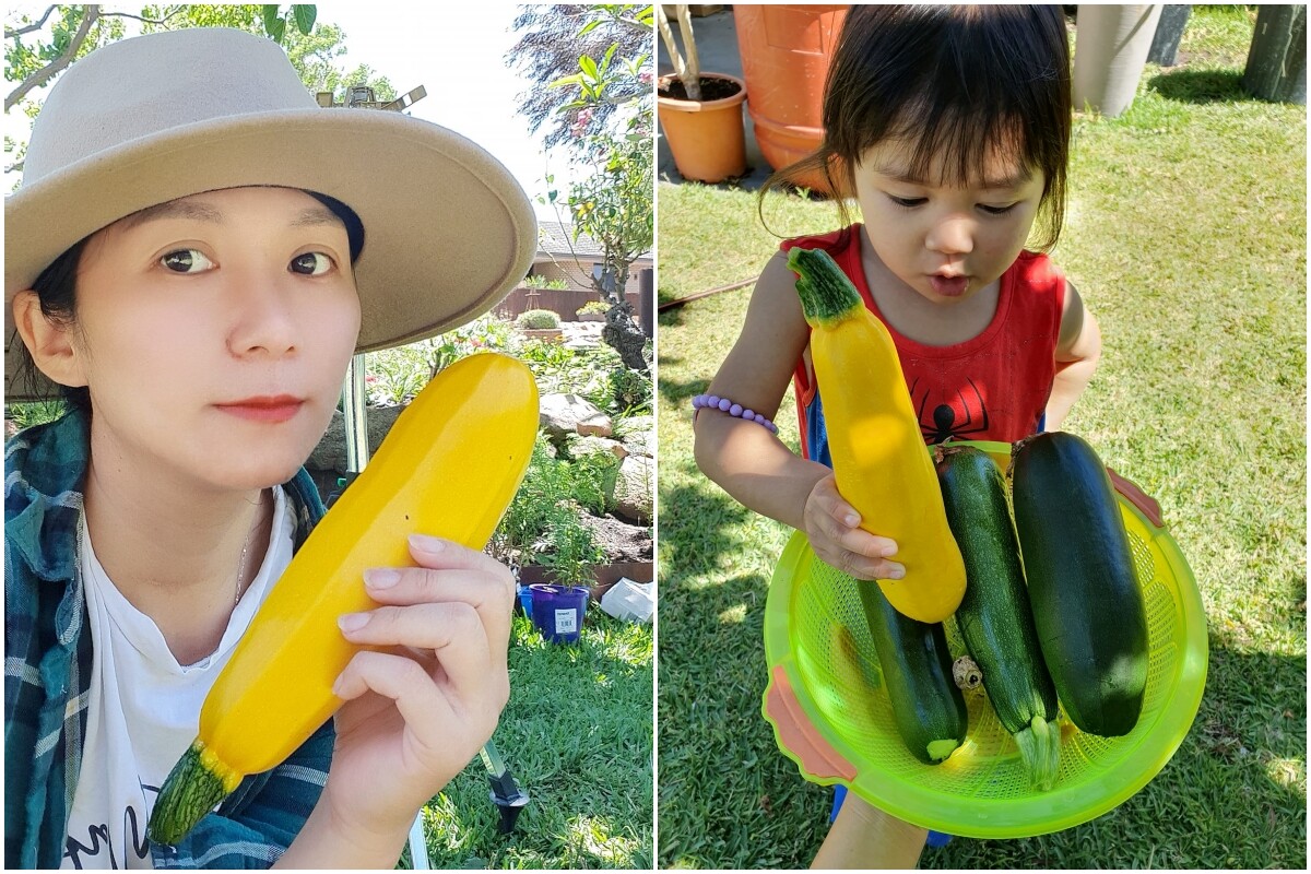 Chị Hải An và con gái đang thu hoạch rau trong vườn nhà.