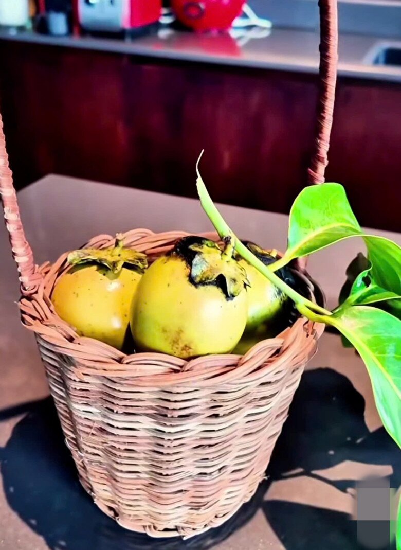 Chỉ mới hái một lúc, cô đã thu hoạch được cả giỏ.