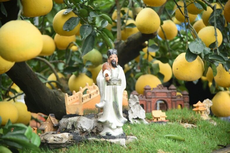 Loại quả amp;#34;tốt nhất thế giớiamp;#34; Việt Nam trồng bạt ngàn, vào chậu làm bonsai có cây giá 800 triệu, mang lại tài lộc và may mắn - 5