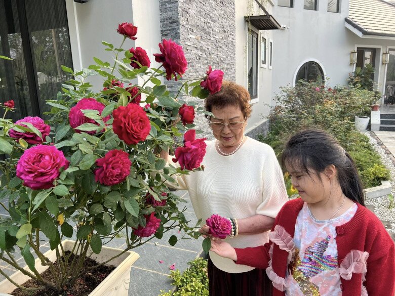 MC Diễm Quỳnh trồng loại hoa hồng nở to hơn cái bát, thơm nức mũi, mẹ chồng thích thú tạo dáng cạnh bên - 4