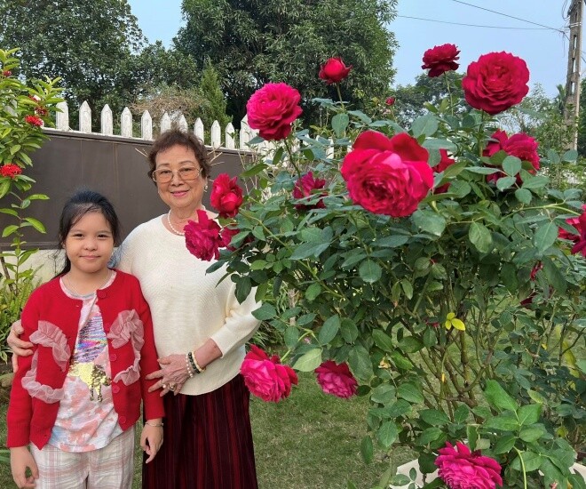 MC Diễm Quỳnh trồng loại hoa hồng nở to hơn cái bát, thơm nức mũi, mẹ chồng thích thú tạo dáng cạnh bên - 1