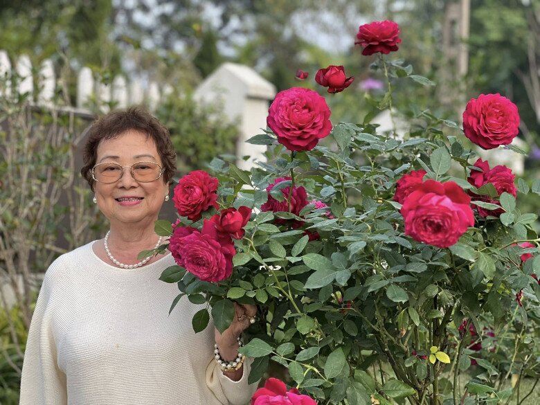 img src/upload/4-2025/images/phuongnth/mc-diem-quynh-trong-loai-hoa-hong-no-to-hon-cai-bat-thom-nuc-mui-be-ga-thich-thu-nhat-tung-canh-hoa--_40_5_n-1765638169-966-width780height585.jpg /