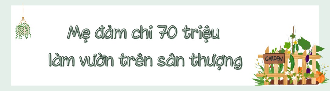 Mẹ đảm Hưng Yên mạnh tay chi 70 triệu làm vườn trên sân thượng: Rau xanh ngập lối, quả đủ loại đủ màu - 1