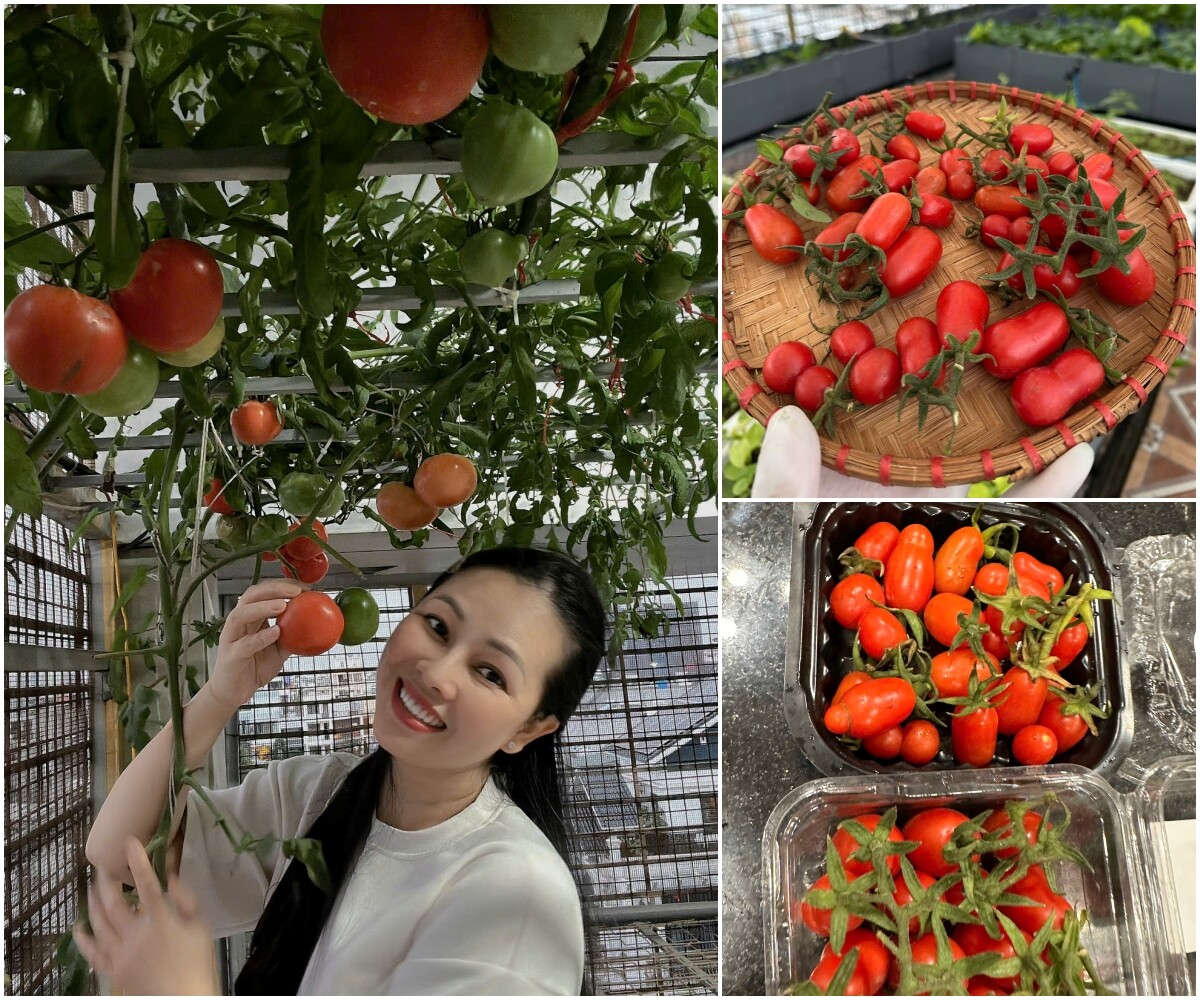 Mẹ đảm Hưng Yên mạnh tay chi 70 triệu làm vườn trên sân thượng: Rau xanh ngập lối, quả đủ loại đủ màu - 10