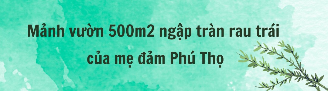 Mẹ đảm Phú Thọ chia sẻ 3 yếu tố giúp mảnh vườn 500m2 ngập tràn rau trái quanh năm - 2