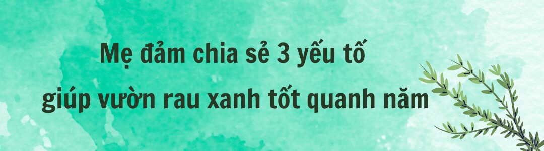 Mẹ đảm Phú Thọ chia sẻ 3 yếu tố giúp mảnh vườn 500m2 ngập tràn rau trái quanh năm - 9