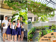 Nhà đẹp - Ông bố 3 con Sài Gòn là kỹ sư IT, trồng rau sân thượng từ nhà đến công ty, mảnh vườn nào cũng xanh tốt