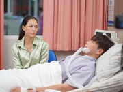 Yêu - Ở rể 3 tháng thì nhập viện, mẹ vợ hầm cháo chim câu cho ăn nhưng hàng xóm khuyên tôi ly hôn