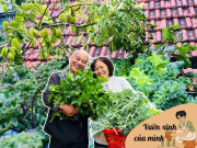 Bác sĩ Đông y Hà Nội chi gần 100 triệu trồng rau nuôi cá trên sân thượng: Rau xanh tốt, hoa nở rực rỡ 4 mùa