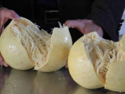 Nhà đẹp - Quả này ruột toàn sợi giá 150.000 đồng/kg, trồng được quanh năm, chăm cực dễ, 3 tháng sẽ cho thu hoạch