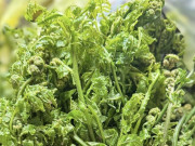 Rau mọc dại đầy Việt Nam nay là đặc sản, Trung Quốc ví là rau trường sinh, trồng 2 tháng cho thu hoạch