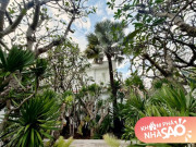 Nhà đẹp - NTK Đỗ Mạnh Cường đưa cả “rừng cây” vào biệt thự 2.000m2, khu vườn trông như Đà Lạt thu nhỏ, tốn đến tiền tỷ?