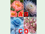 Yêu - Trắc nghiệm: Chọn một loài hoa để biết kết hôn xong bạn sẽ ngồi hưởng sung sướng hay tự mình gánh cả gia đình?