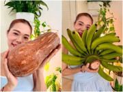 Nhà đẹp - Ca sĩ Mỹ Lệ thu hoạch "trái cây khổng lồ" trong khu vườn hơn 10.000m2: Nải chuối to chưa từng thấy, nhìn quả dứa càng bàng hoàng