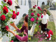 Nhà đẹp - MC Diễm Quỳnh trồng loại hoa hồng nở to hơn cái bát, thơm nức mũi, mẹ chồng thích thú tạo dáng cạnh bên
