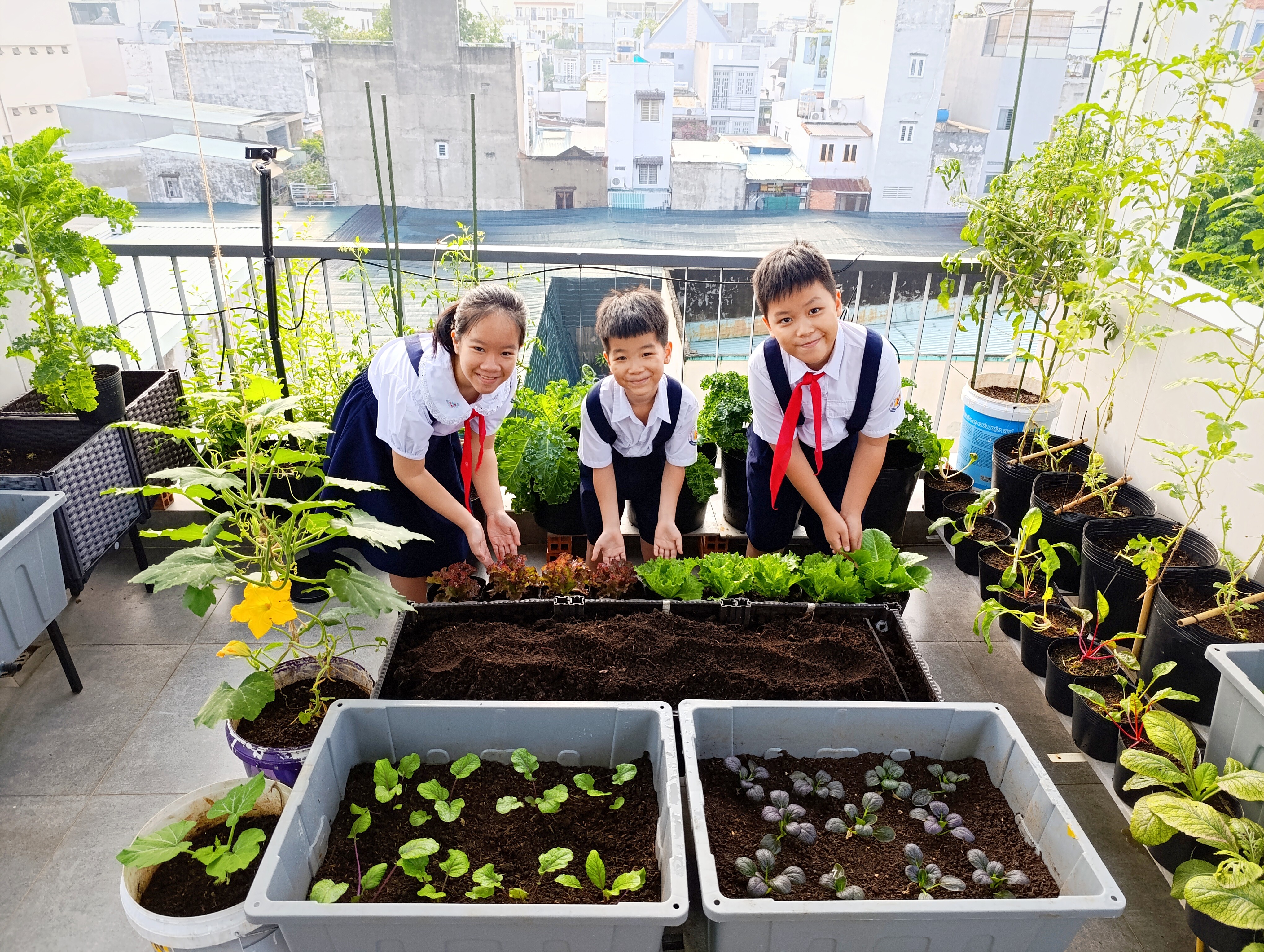 Các con của anh Phúc rất vui mỗi khi lên vườn.