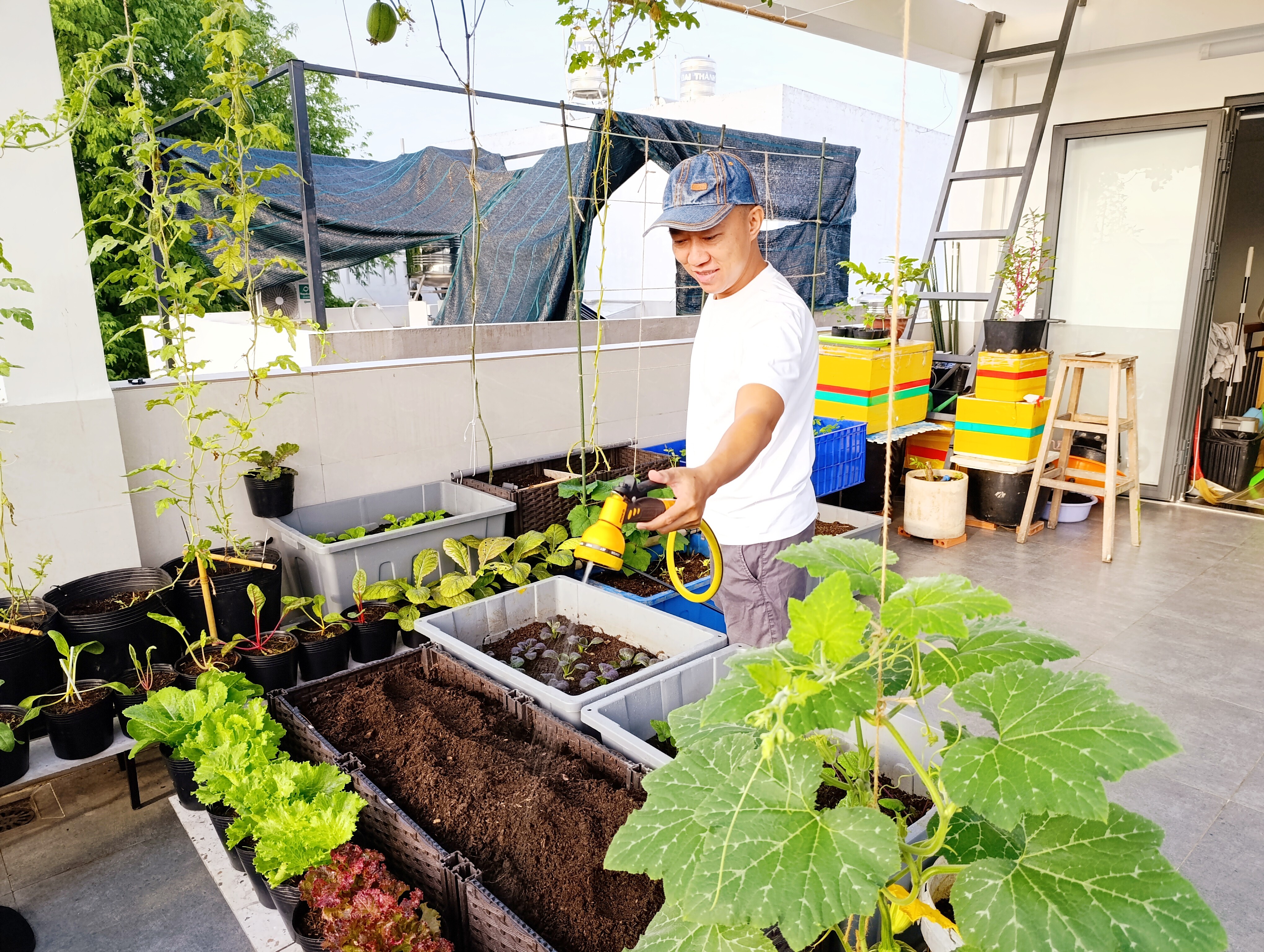Ông bố 3 con Sài Gòn là kỹ sư IT, trồng rau sân thượng từ nhà đến công ty, mảnh vườn nào cũng xanh tốt - 18