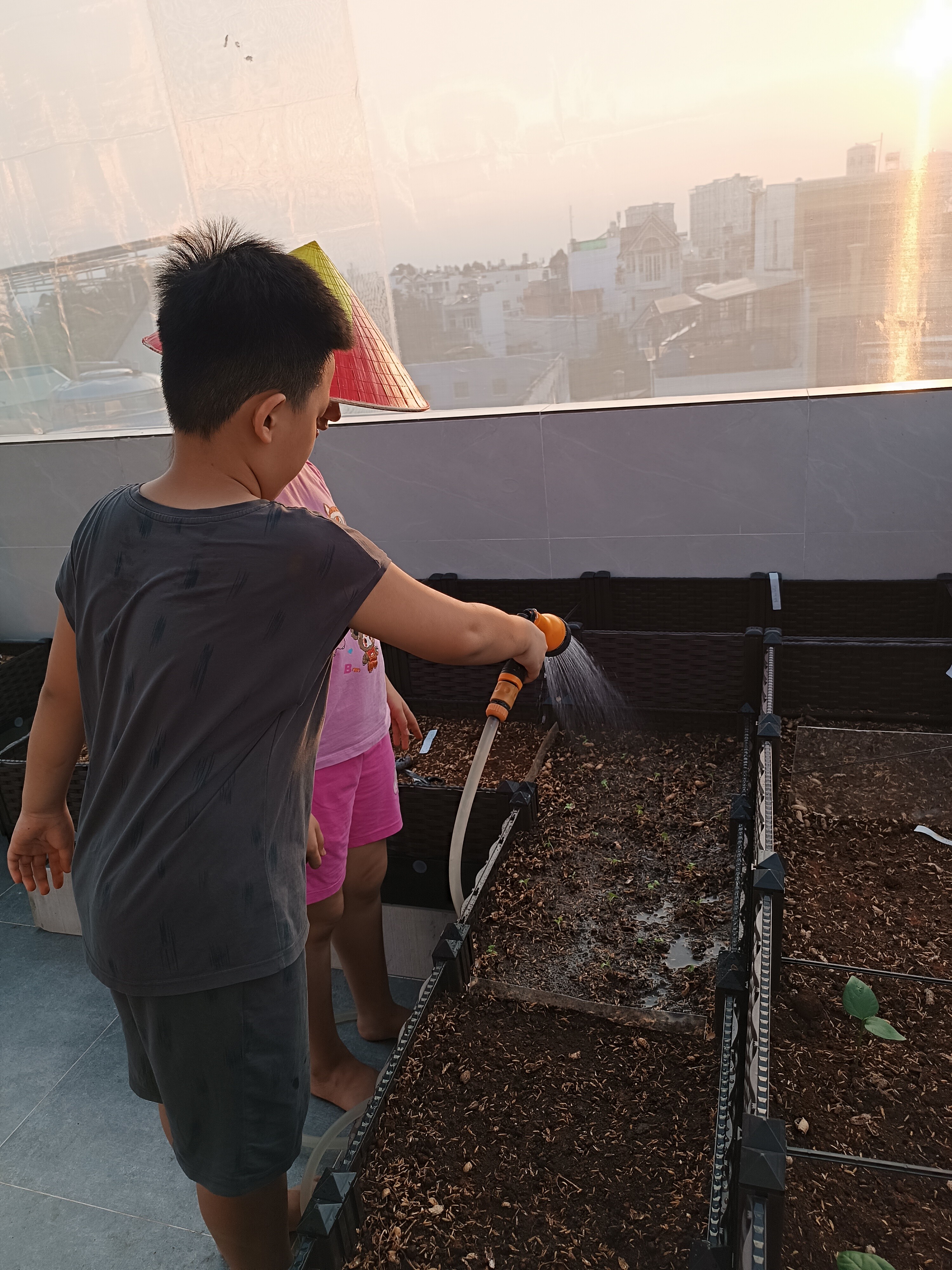 Ông bố 3 con Sài Gòn là kỹ sư IT, trồng rau sân thượng từ nhà đến công ty, mảnh vườn nào cũng xanh tốt - 21