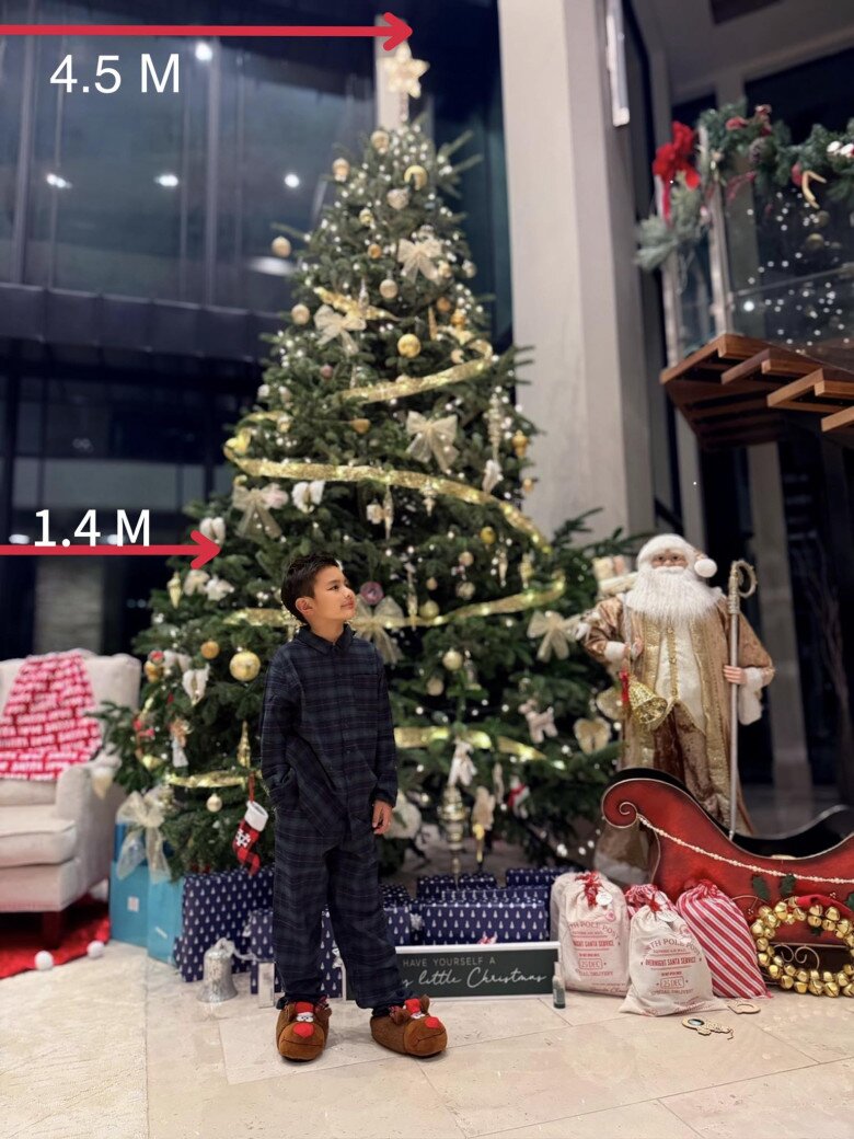 Chiều cao của quý tử nhà Đan Trường khiến nhiều người trầm trồ.