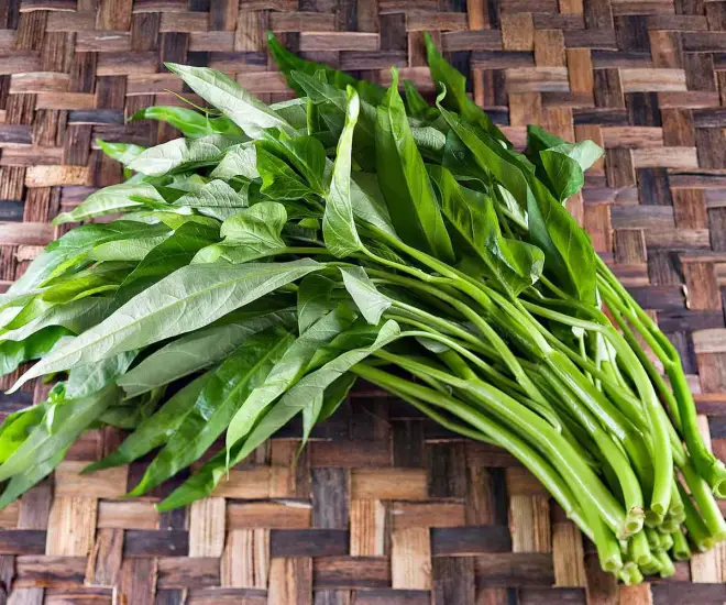 “Vua các loại rau” vào mùa thu, axit folic gấp 8 lần táo, cắm cành vào đất là sống, trồng một lần ăn nhiều năm - 1