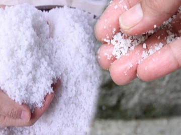 Tại sao nên rắc muối quanh nhà sau ngày mưa bão? Đây là 3 lý do