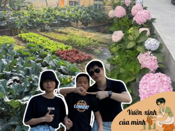 Mẹ đảm Phú Thọ chia sẻ 3 yếu tố giúp mảnh vườn 500m2 ngập tràn rau trái quanh năm