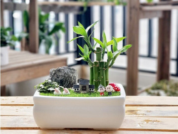 Người mệnh Mộc không thể bỏ qua 3 cây này