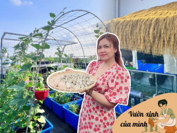 Chuyên gia trang điểm chi 20 triệu làm trang trại trên sân thượng, mảnh vườn 90m2 đủ loại rau trái, 90 con gà và chim