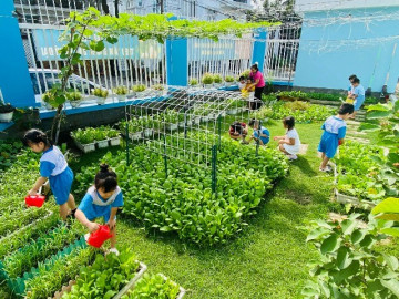 Khu vườn 52m² đầy ắp rau xanh khiến trẻ mầm non mê tít, ngày nào đến trường cũng đòi ra ngắm cây, thu hoạch
