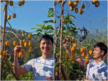 Trồng loại cây “đẻ ra vàng”, Mạnh Trường chỉ dám ngắm không dám hái ăn vì sợ… vợ “đánh què tay”