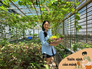 Mẹ đảm Hưng Yên mạnh tay chi 70 triệu làm vườn trên sân thượng: Rau xanh ngập lối, quả đủ loại đủ màu