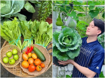 Chàng trai Đồng Tháp biến sân trọ 3m2 thành vườn đẹp mê, rau trái ăn không hết