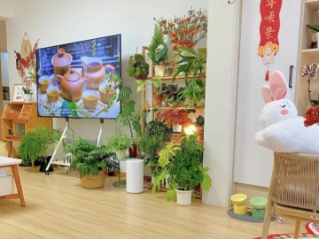 5 cây không nên trồng trong phòng khách kẻo hoa tốt người suy, tiền bạc hao hụt