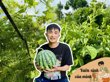 Chàng trai 10X thuê mảnh đất 400m2 ở Nhật Bản, trồng đầy ắp rau củ Việt