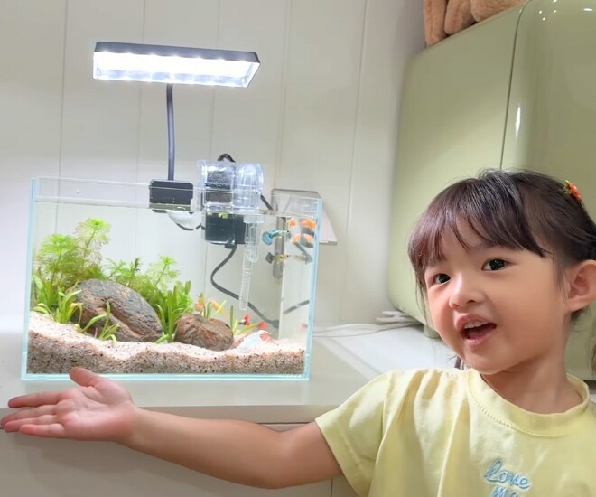 Con gái Đông Nhi khoe thành viên mới của gia đình là những chú cá.