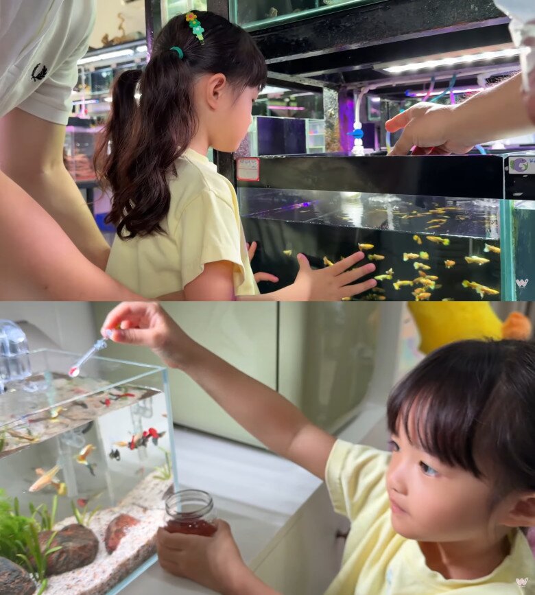 Bé Winnie háo hức tự tay lựa cá, cho cá ăn.