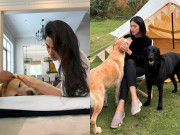 Giải trí - Tăng Thanh Hà bật khóc tạm biệt chú chó cưng sau 13 năm nuôi dưỡng, Lệ Quyên gửi lời chia buồn
