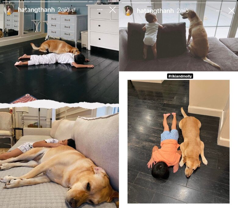 Hình ảnh Molly quấn quýt bên các em.