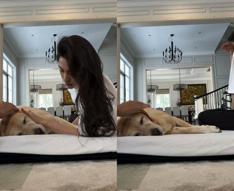 Tăng Thanh Hà nghẹn ngào bật khóc khi ngồi cạnh chó cưng.