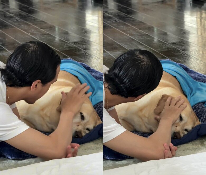 Doanh nhân Louis Nguyễn vuốt ve tiễn biệt Molly.