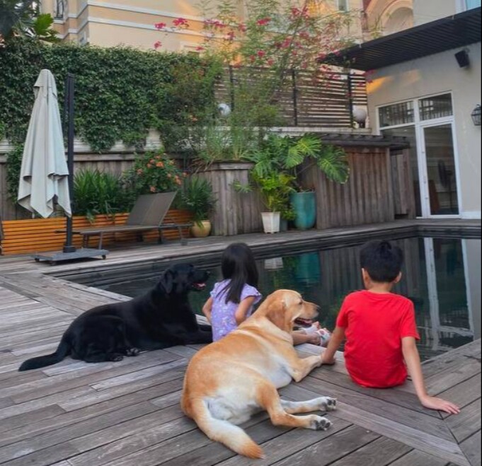  Molly và April không chỉ là thú cưng, mà còn là thành viên đặc biệt trong gia đình Tăng Thanh Hà.