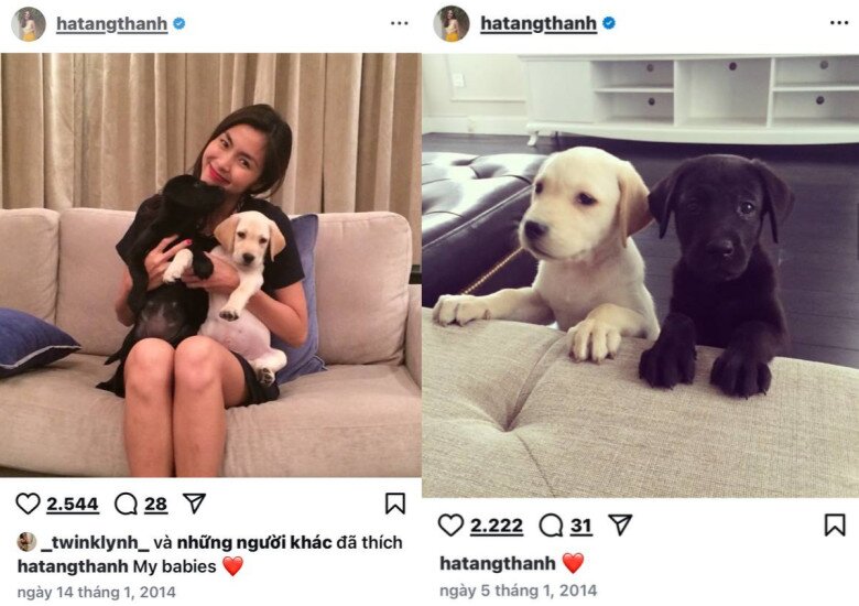 Tăng Thanh Hà chia sẻ hành trình lớn lên của 2 bé cưng.