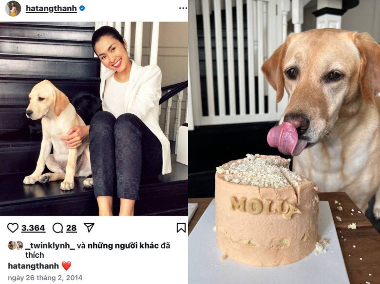 Mỗi năm, nữ diễn viên đều ăn mừng sinh nhật của Molly và April.