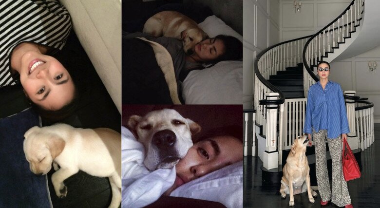 Ngọc nữ màn ảnh Việt bắt đầu nuôi Molly từ năm 2013.